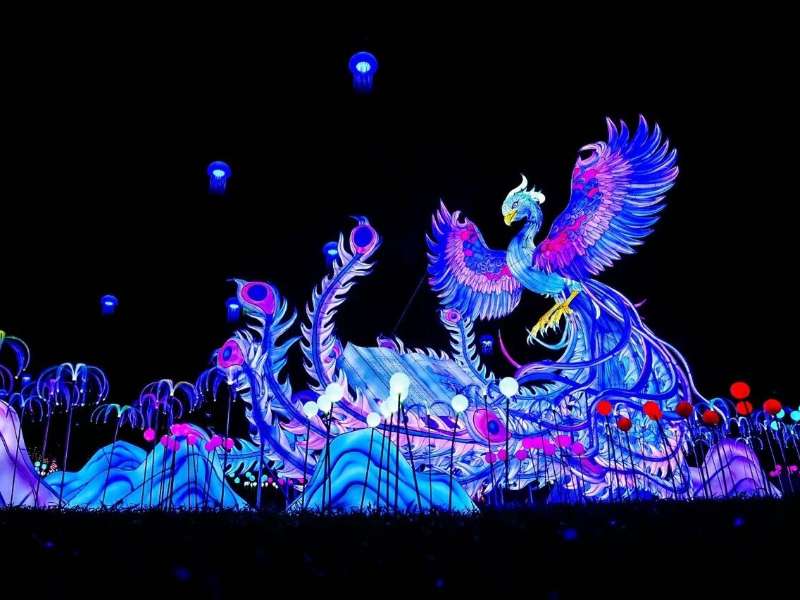 亮灯啦！一不小心，闯入梦幻世界→